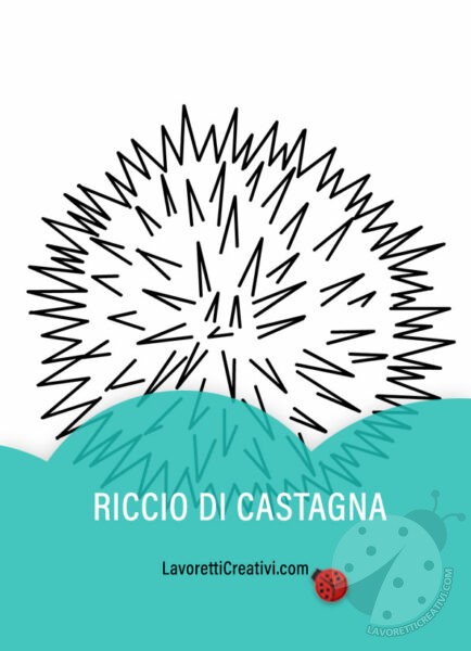 riccio castagna disegno