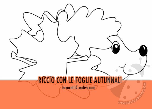 riccio con foglie disegno