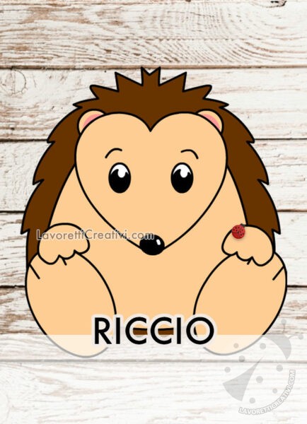 riccio viso cuore