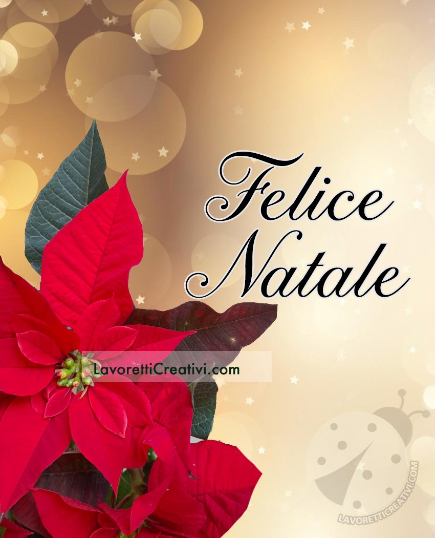 felice natale